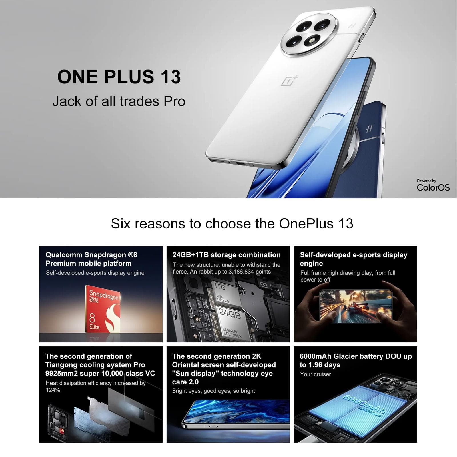 OnePlus 13 PJZ110, 12GB+256GB, Screen Fingerprint Identification, 6.82 inch ColorOS 15.0 / Android 15 Snapdragon 8 Elite 3nm Octa Core, NFC, Network: 5G (White)